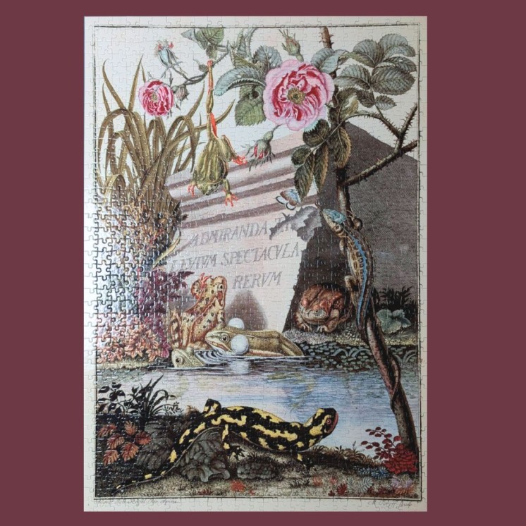 Puzzle Histoire naturelle des grenouilles de nos contrées