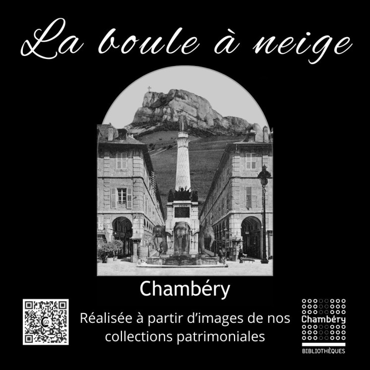 Boule à neige Chambéry